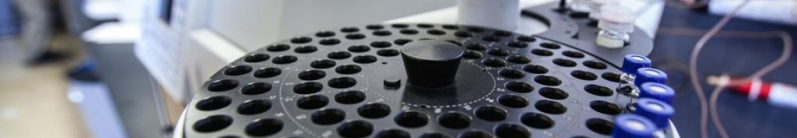 PATH 381 Clinical Biochemistry