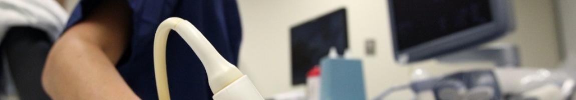 REPD 372 Reproduction and Development