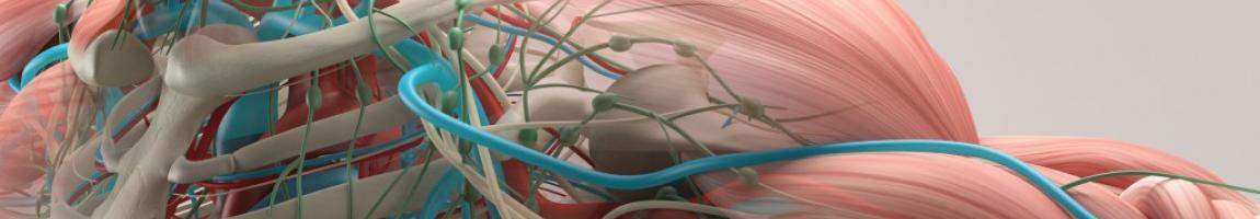 CRSS 454 Cardiovascular Sciences