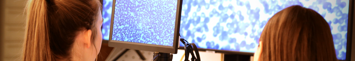 Students looking through microscope on a screen