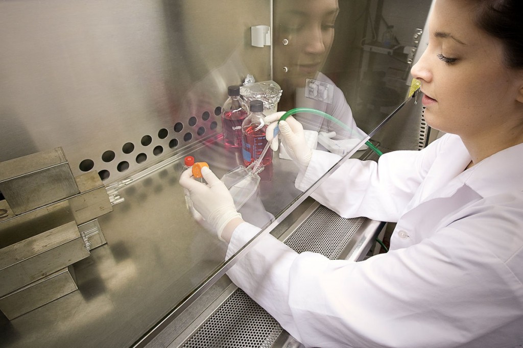 Infection, Immunity, and Inflammation