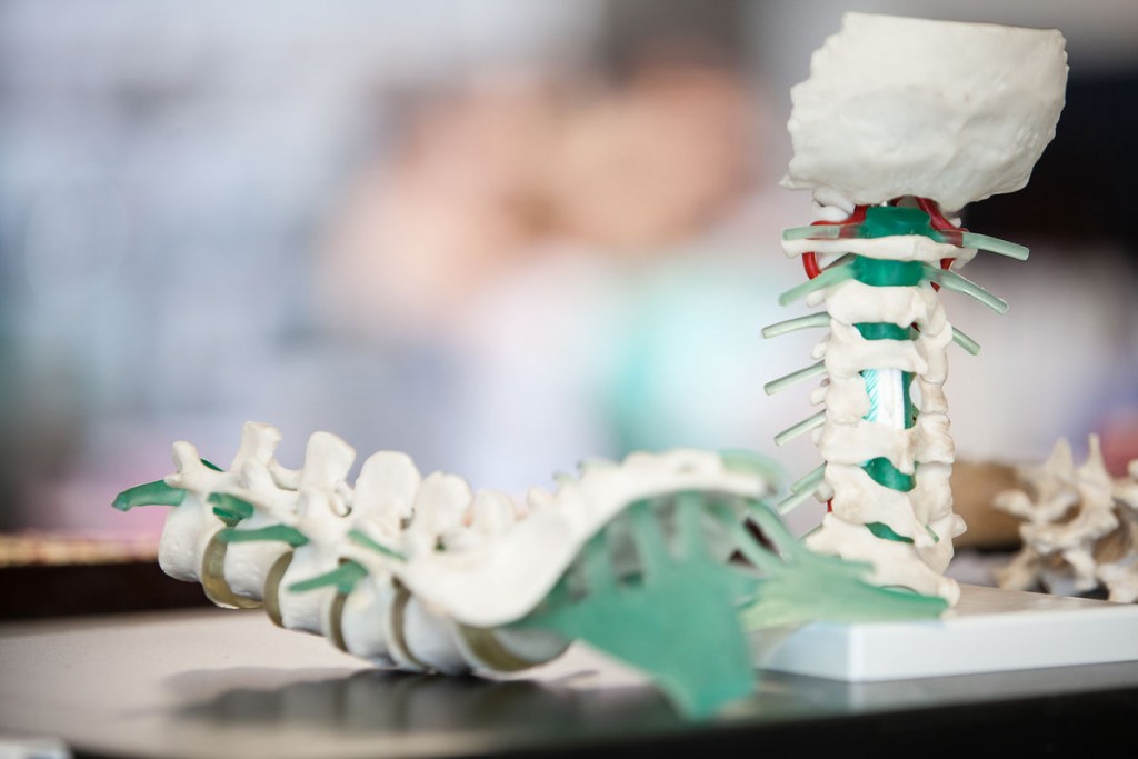 Anatomical Basis of Health and Disease