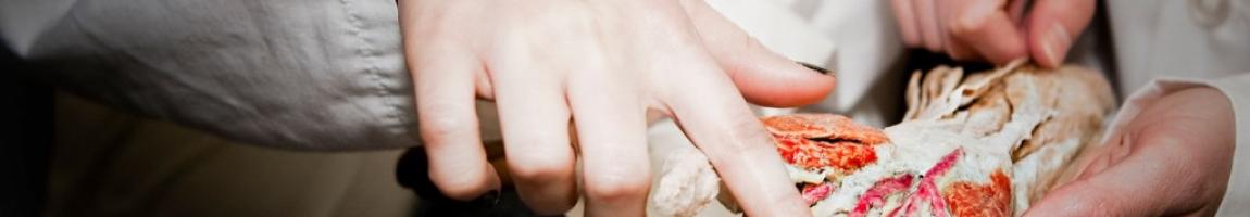 ANAT 100 Anatomy of the Human Body