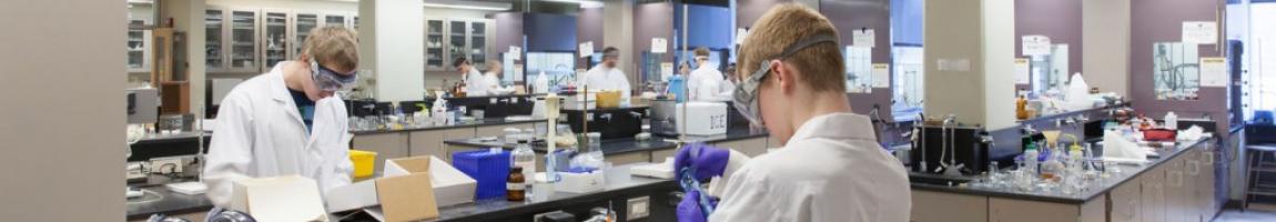 BMED 390 Integrative Laboratory Studies