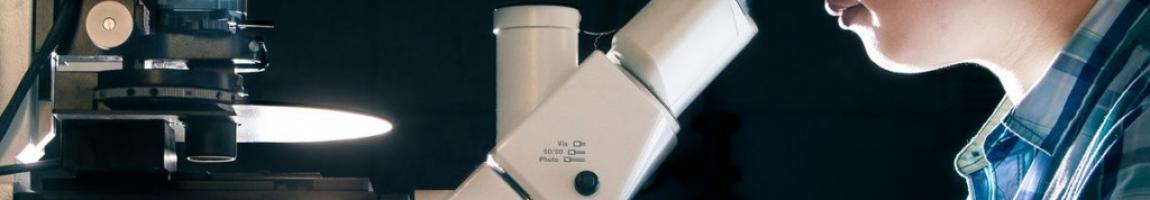 CANC 380 Evolutionary Biology of Cancer