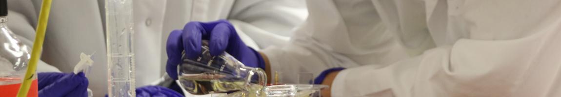 PHGY 290 Investigation of Human Physiological Responses