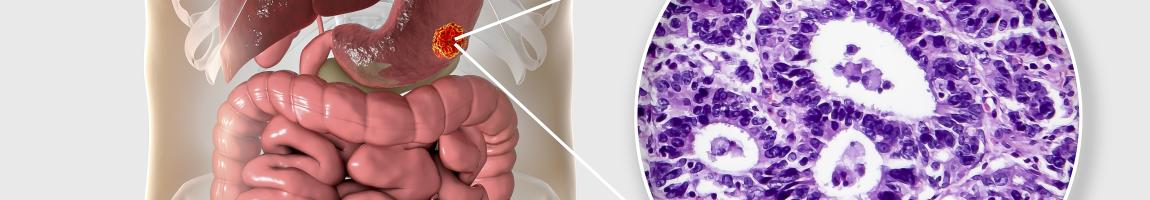 ANAT 309 Functional Histology
