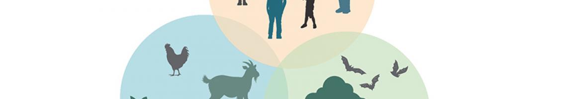 Graphic with three overlapping circles. One circle contains people, one circle contains trees, and the third contains animals.
