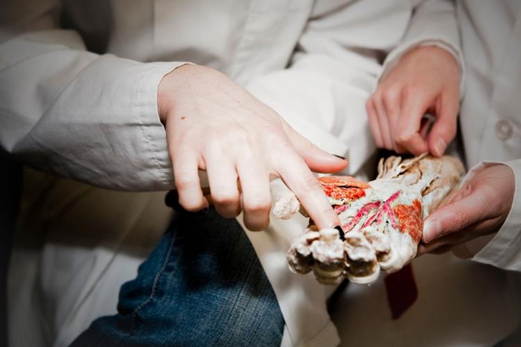 ANAT 100 Anatomy of the Human Body