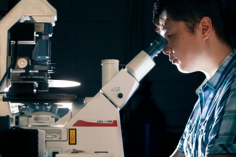 CANC 380 Evolutionary Biology of Cancer