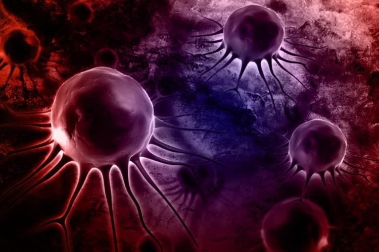PHGY 170 Human Cell Physiology