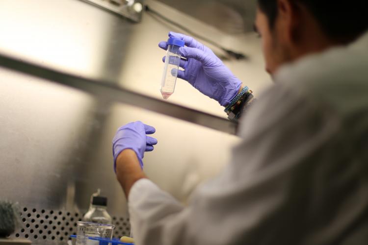 Graduate research in the lab