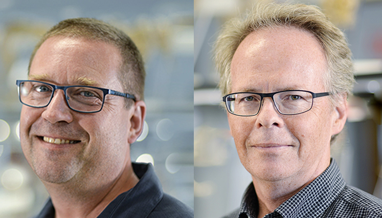 Chris Ward & Robert Campbell