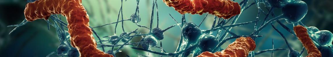 MICR 320 Microbes in Health and Disease