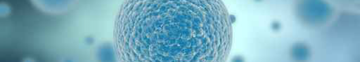 BIOL 102 Introductory Biology of Cells