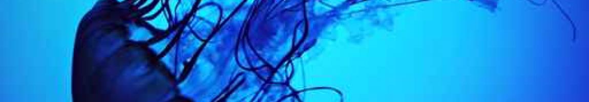 BIOL 103 Introductory Biology of Organisms